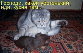 shVe940OcLs.jpg