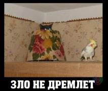 up7FvdS4wvY.jpg