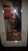 WP_20140822_013.jpg