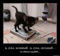 20140804100716_htv.jpg