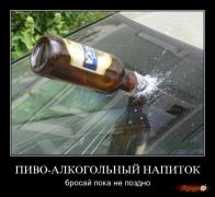 1251030580_6.jpg
