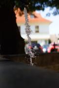 DSC00302.JPG