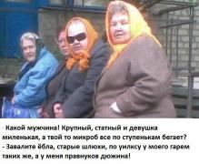 2113312.jpg