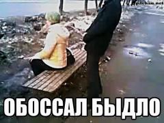 IMG_20150807_144615.jpg