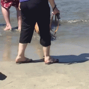 8e4915_orig_.gif