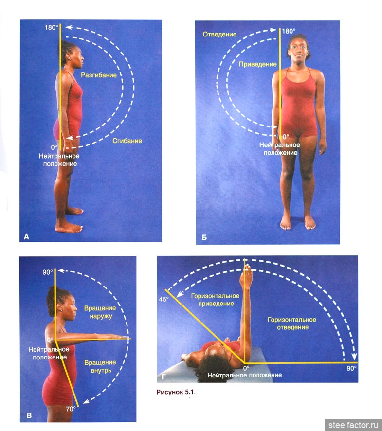Вертикальная ось упражнения. Плечевой сустав сгибание разгибание отведение. Горизонтальное отведение в плечевом суставе. Сгибание разгибание отведение приведение в плечевом суставе. Сгибание разгибание отведение приведение вращение плечевого сустава.