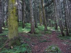 IMG_3727.JPG