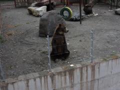 IMG_3733.JPG