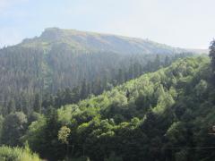 IMG_3589.JPG