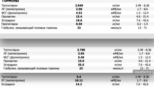 Снимок экрана 2016-08-04 в 13.56.50.png