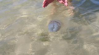 20160826_112347.jpg
