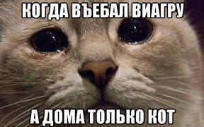 IMG_20160808_000949.jpg