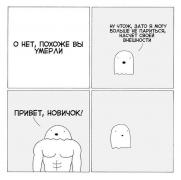 VK_Saved_Photo_ 636056405278338565.jpg