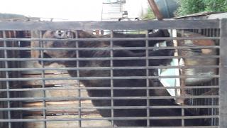 20160816_154104.jpg