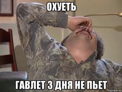 гавлет.jpg