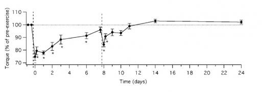 Eccentric_quadriceps_torque.jpg