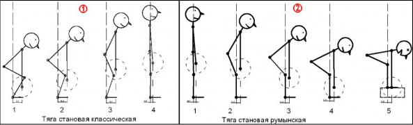 klassicheskaya-i-rumyinskaya-stanovaya-tyagi-otlichiya.jpg