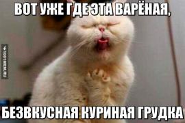 99dc7a29c0072e7e7b86bdd9f826f09e.jpg