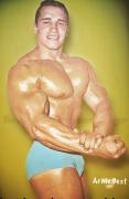 -arnoldschwarzenegger • 741.jpg