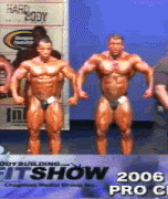 kingk.gif