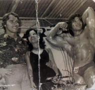 Arnoldaa.jpg