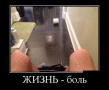 demotivatory_28 (1).jpg