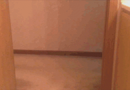 gifs_15 (3).gif