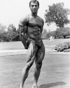 download (1) (17).jpg