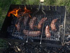DSC02354.JPG