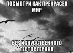тест.jpg