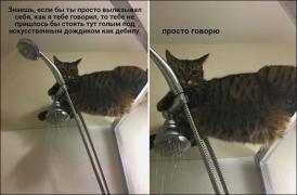 1565035444_kartinki-04082019-002.jpg