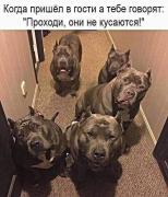 IMG-20190809-WA0004.jpg