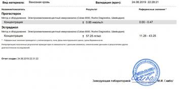 estro 2408.jpg