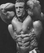 011-Dorian-Yates-Anglais-Top-Bodybuilder-Mr-Olympia-14-x-17-Affiche.jpg