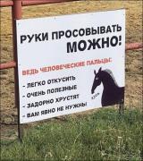 nadpisi-22082020-011.jpg