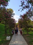 IMG_20200818_151043.jpg