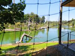IMG_20200818_134031.jpg