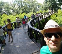 IMG_20200818_142115.jpg