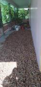 IMG_20200814_162348.jpg