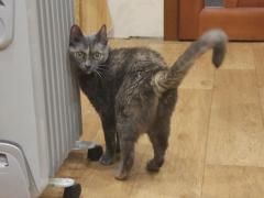 IMG_20200821_001503.jpg