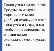 F951D84E-7168-442B-B29D-6EF3AC7702F2.jpeg
