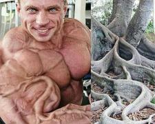 Instagram_all.fitness.lovrs_115938148_298245237924724_4961798284101172987_n.jpg