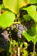 IMG_9304-2-3.jpg