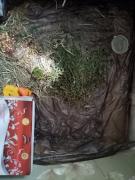 IMG_20200804_112727.jpg