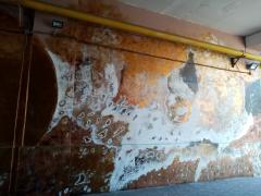 IMG_20200719_133215.jpg