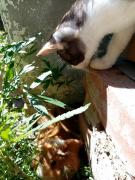 IMG_20200816_111154.jpg