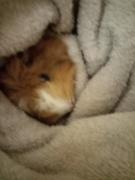 IMG_20200803_204536.jpg
