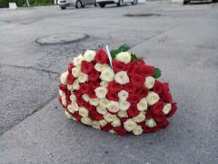IMG_20200816_194223.jpg