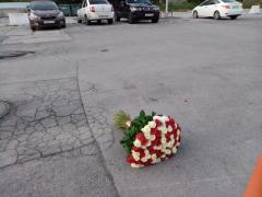 IMG_20200816_194157.jpg