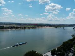 IMG_20200803_133736.jpg